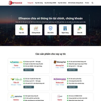 Theme wordpress dịch vụ tài chính 01
